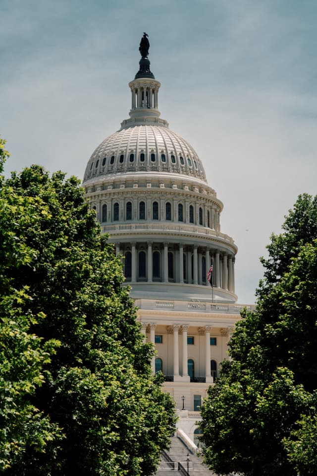 The United States Capitol dome framed by lush green foliage under a clear blue sky