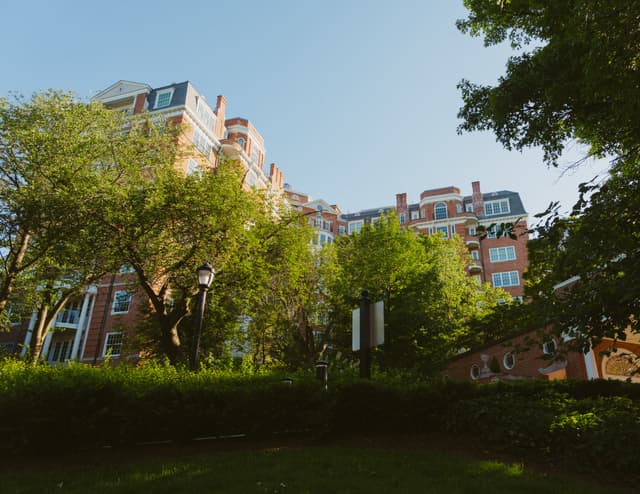 A lush green lawn with trees in the foreground and a multi-story red brick building with white windows in the background, under a clear blue sky