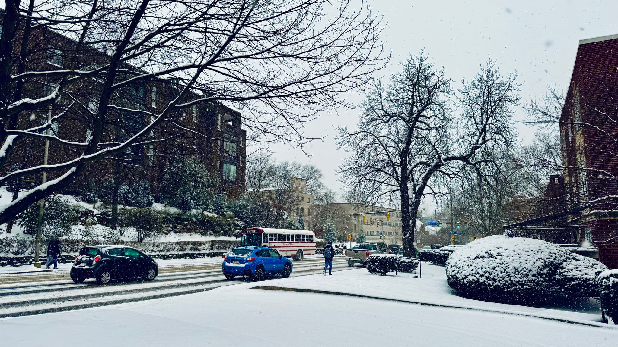 A snowy street scene with cars parked along the sides, bare trees, and buildings under an overcast sky