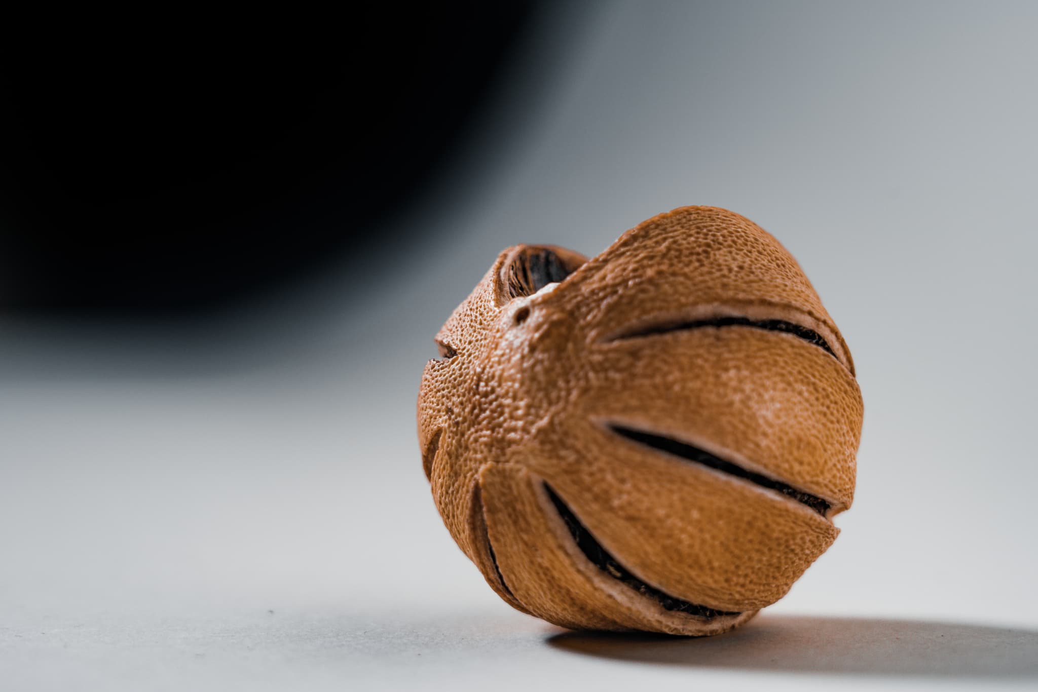 A close-up of a brown, spherical object with deep grooves, resembling a miniature basketball, against a blurred background