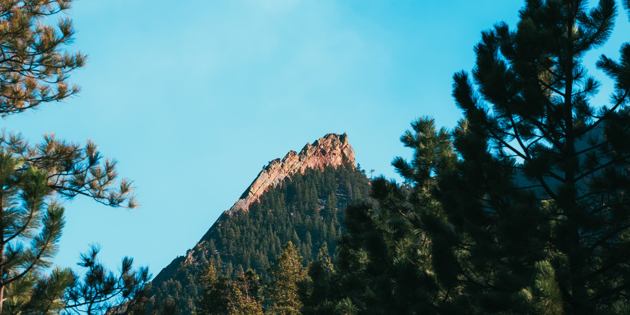 A mountain peak rises above a forest under a clear blue sky