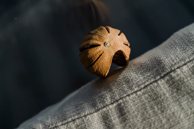 A wooden button on a piece of gray fabric, illuminated by natural light creating a soft shadow