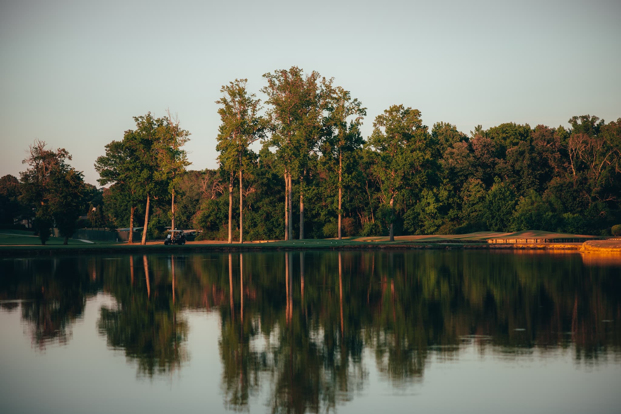 A serene lake with tall trees reflecting on its calm water, surrounded by lush greenery under a clear sky