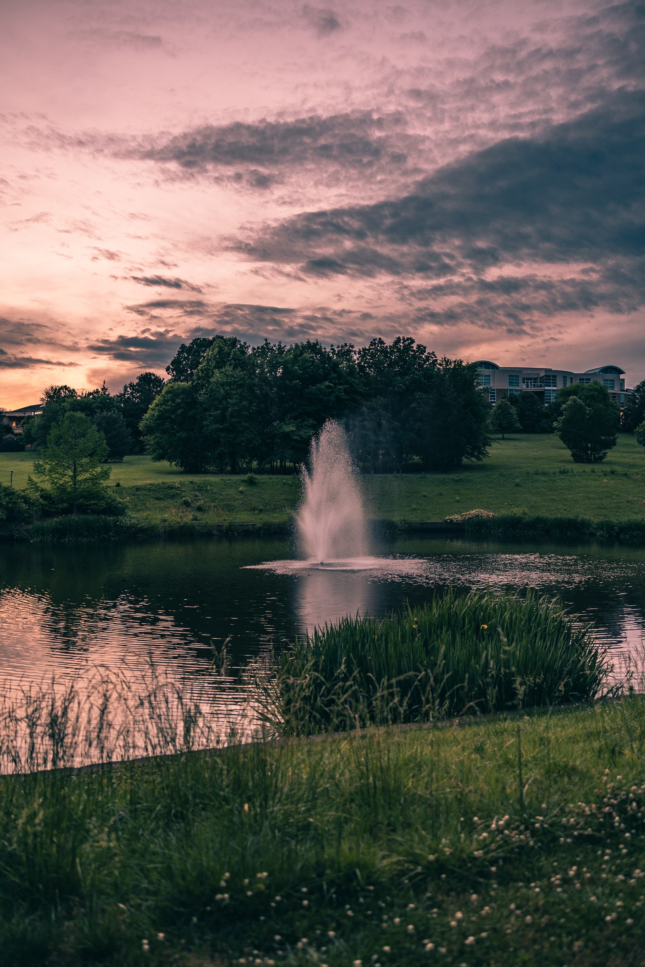 A tranquil scene at dusk featuring a fountain in the center of a pond, surrounded by lush greenery and under a sky painted with hues of pink and blue