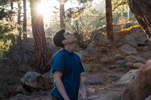 A man looks upwards, bathed in sunlight filtering through trees in a forested area