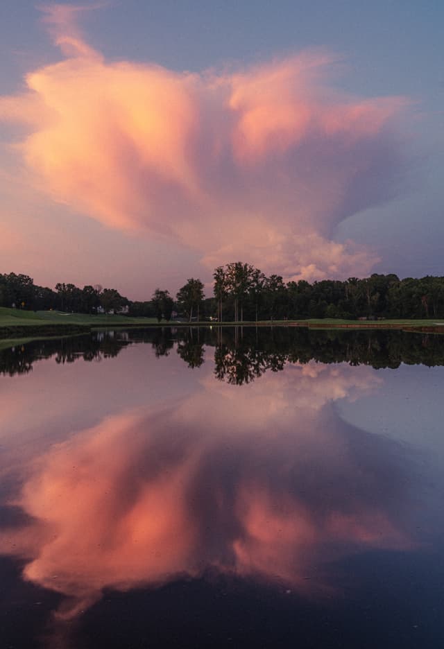 A serene lake reflecting a pink cloud formation against a twilight sky, with a line of trees on the horizon