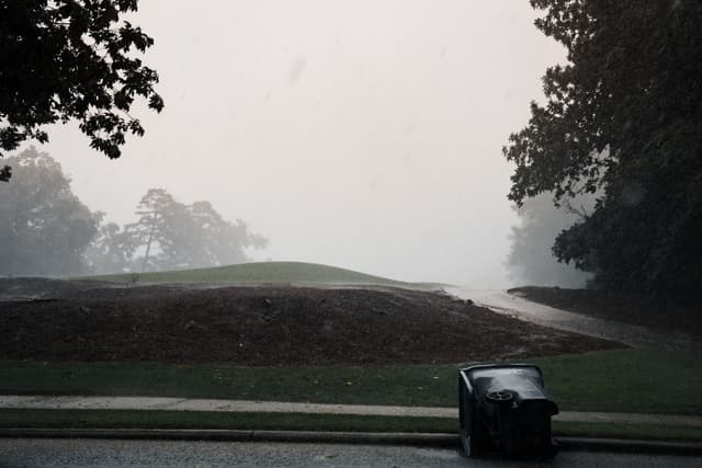 A misty landscape with a tree-lined road, a trash can in the foreground, and a grassy hill in the background