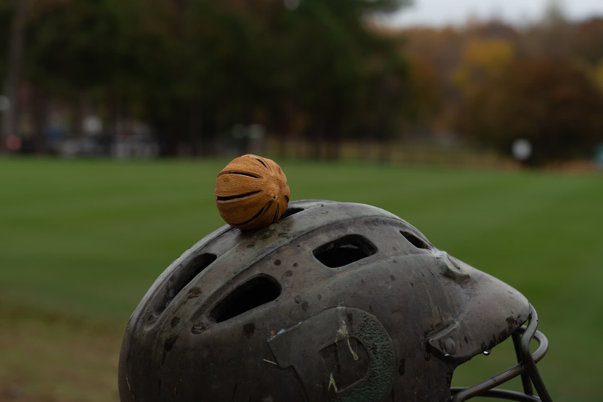 A small, orange basketball rests on top of a worn sports helmet against a blurred background of a grassy field